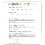 ���ɸ���ǻԡ�M��