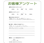 ���ɸ����ɻԡ�T��