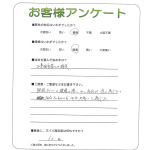 ���ɸ����ɻԡ�H��