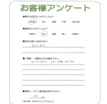 ���ɸ����ɻԡ�H��