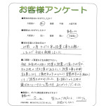 ���ɸ���뷴�ĸ���Į��T��