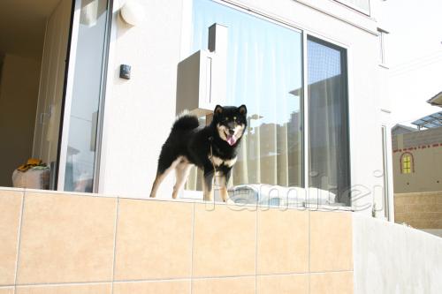 �������Ƥä����