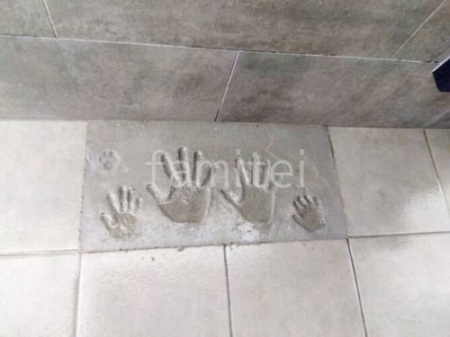 ²ǰ