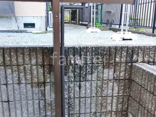 佤