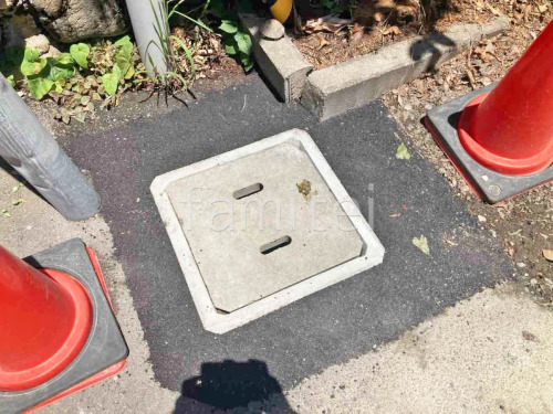 ޥ