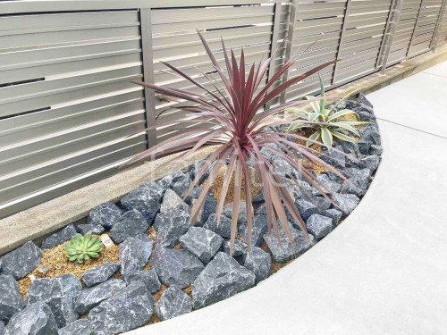 ���� ����