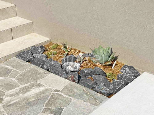 ���å������ǥ� ��˥��� �梁���å� ������