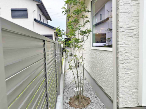 ����ܥ�ĥ꡼