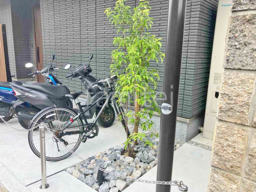 ����ܥ�ĥ꡼ �ۥ󥳥󥨥󥷥� ���å������ǥ� �䷪���ߤ�