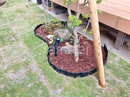 ����ĥ�� ɱ�����