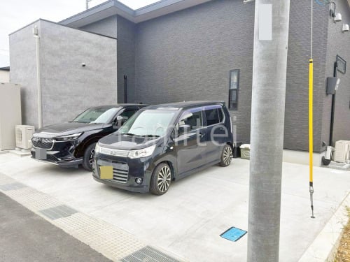 ��־쥬�졼���� �ڴ֥��󥯥꡼��