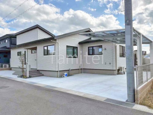 ��־쥬�졼���� �ڴ֥��󥯥꡼��