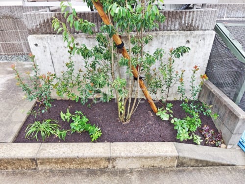 ���� ����