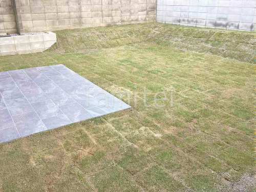 芝生張り 姫高麗芝