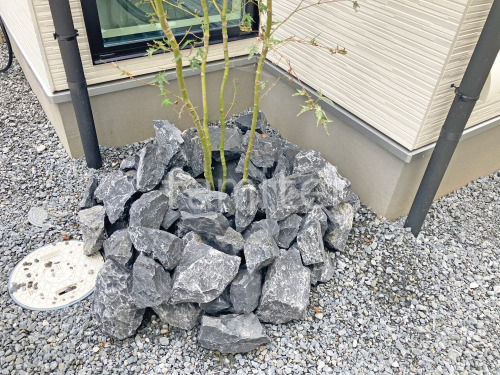 ���å������ǥ� ��˥��� �梁���å� ������