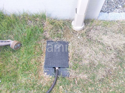 ��¸���������