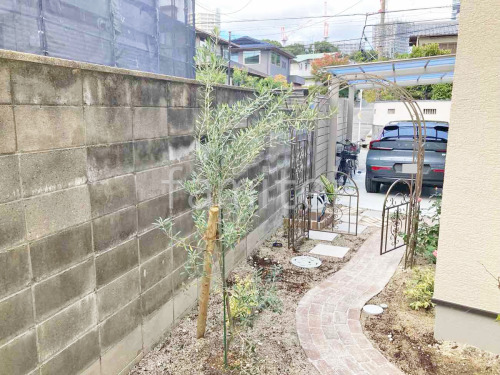 ����ܥ�ĥ꡼ ���꡼�� ���м� ����