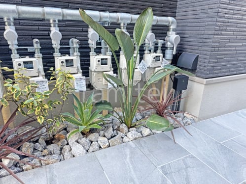 ���� ����