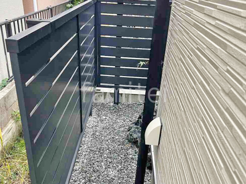 ���ο� ���������졼