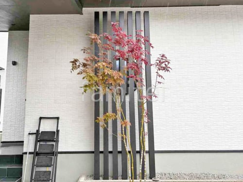 ����Ĵ�ǥ����󥢥�߳��� �ץ��ѡ��� �Ѻ�