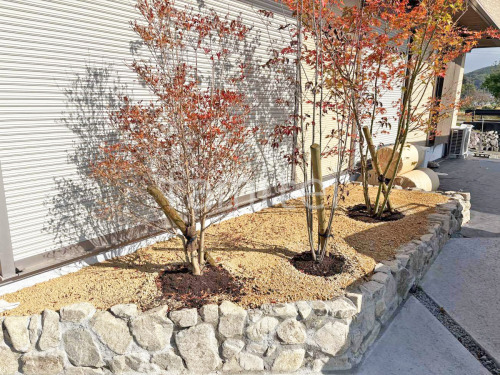 ����ܥ�ĥ꡼ �����ϥ�ߥ� ��ޥܥ��� �ɥ�����ĥĥ�