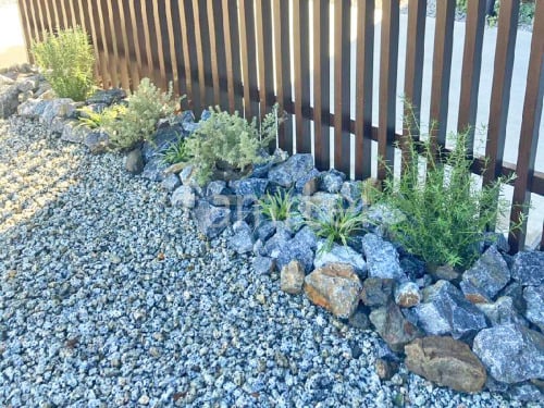 ���� ����