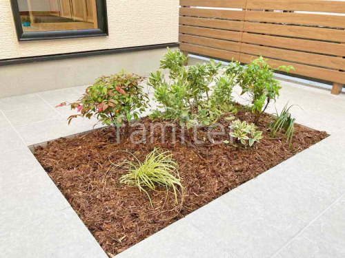 ���� ����