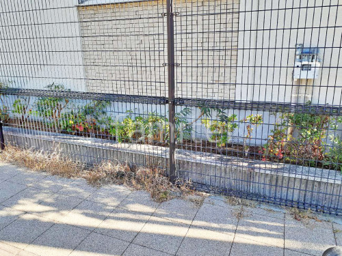 ���� �մ�������