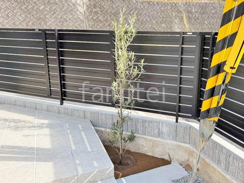 ����ܥ�ĥ꡼ ���꡼�� ���м� ����