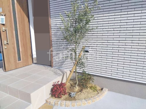 ����ܥ�ĥ꡼ ���꡼�� ���м� ����