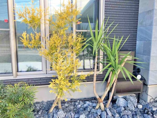 ���� ����