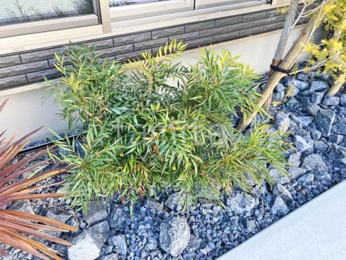 ���� ����