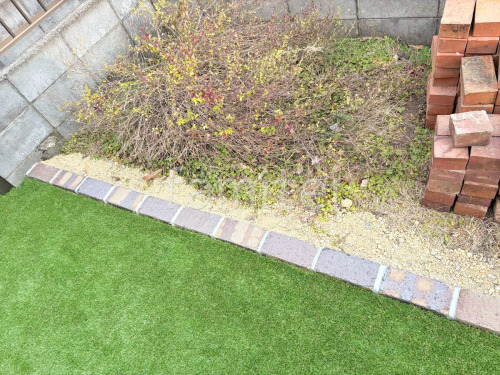 ���ڤ��� ��˥��� ��������