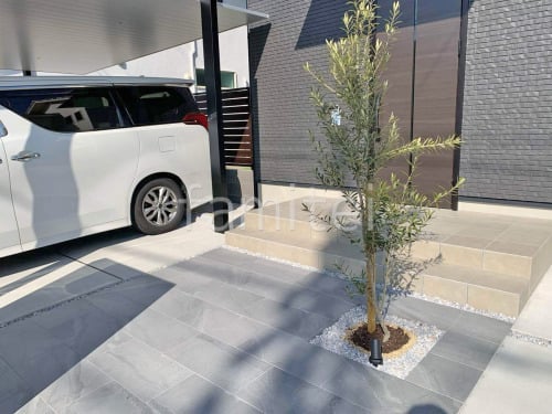 ����ܥ�ĥ꡼ ���꡼�� ���м� ����