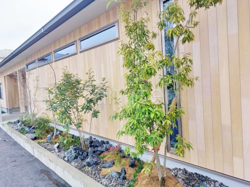 ����ܥ�ĥ꡼