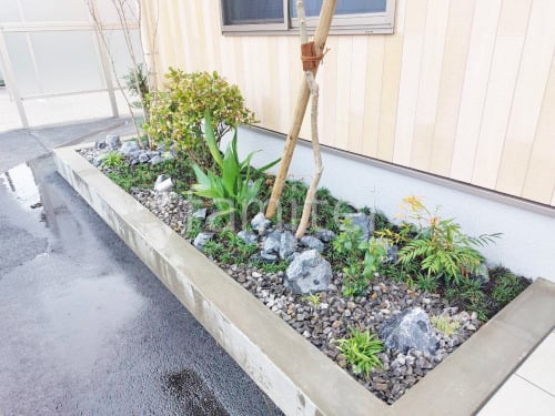 ���� ����