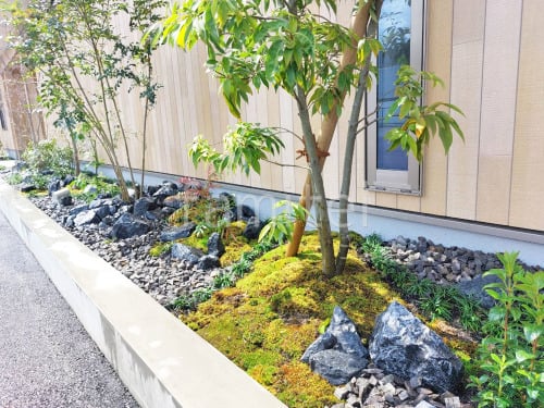 ���å������ǥ� ��˥��� �梁���å� ������