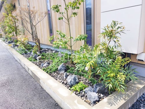 ���å������ǥ� ��˥��� �梁���å� ������