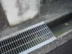 ���졼���󥰸���