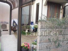 �佤�����������ݡ��ȱ�������