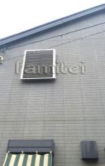 ��ư���ܱ����̳ʻ� �ȥ��ƥ�