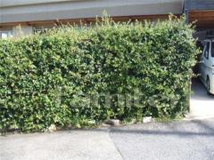 ��ե�������