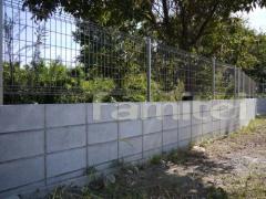 ������å���ե��󥹡�TOEX�ϥ�����åɥե���N8��