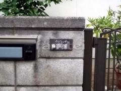 ɽ������