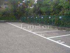 ��־� ��������������