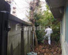 ����ű����