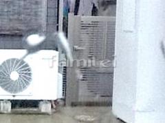 ��������� ��������� �˥塼����ե�1�� 09-12 �ҳ���