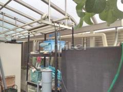 ������Ĺ