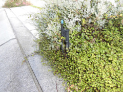 �ۡ��� �����ޡ�����