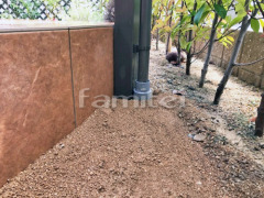 Ʃ�������